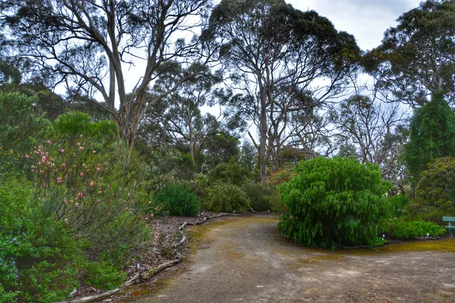 Nangawooka Flora Reserve