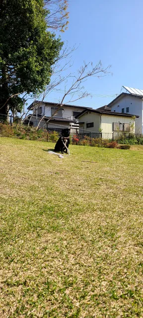 Otakanomori East No.1 Park