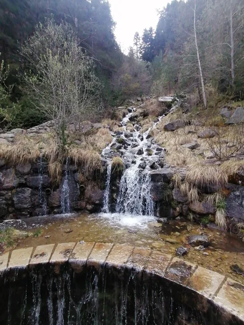 Camí de les Pardines