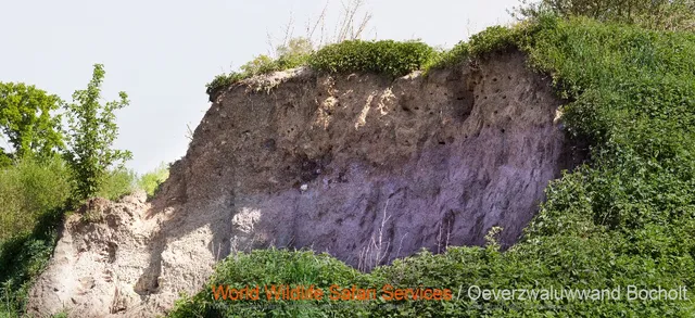 Natuurpunt Bocholt Smeetshof