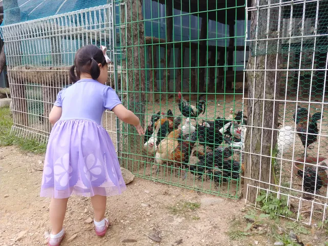 Enhanced Experience Baby Zoo