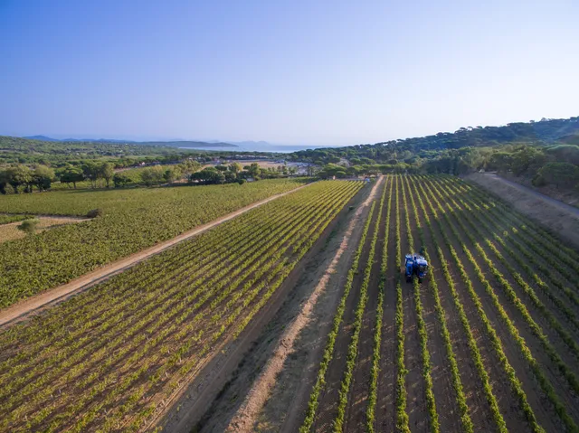 Domaine des Tournels