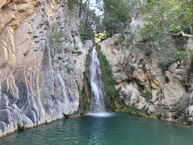 Nuncio Arteaga coahuila