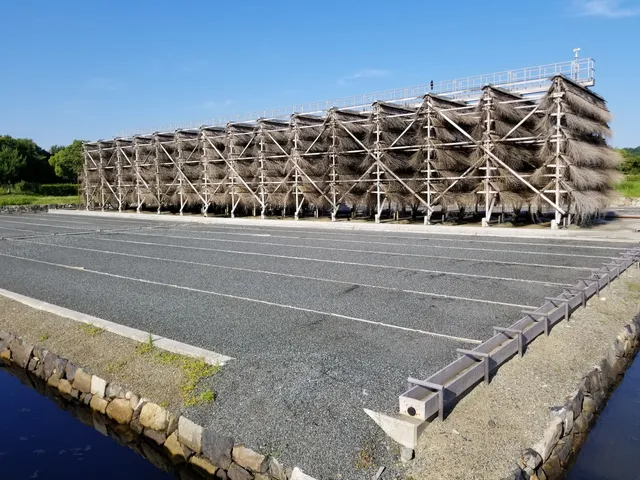 Salt Land / restored tidal salterns