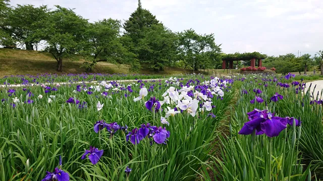 Kitakatashi Gotenba Park