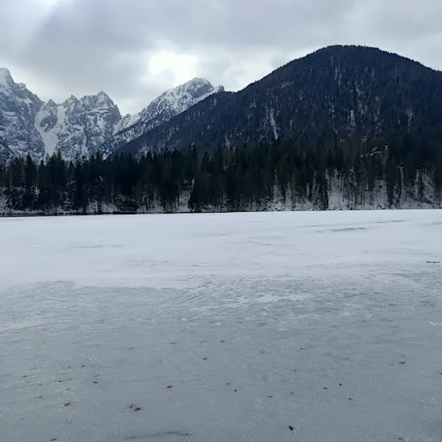 Gastronomica Friulana Di Andrea & Marco Cecchini S.N.C.