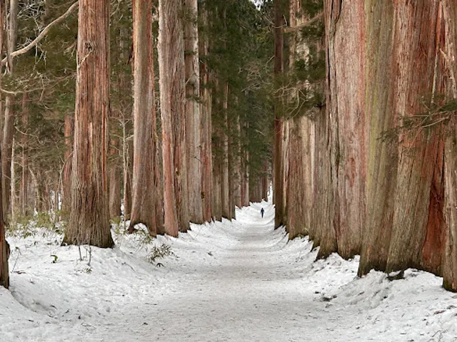 Cedar Promenade of Inner Togakushi