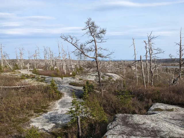 McIntosh Run Community Trail