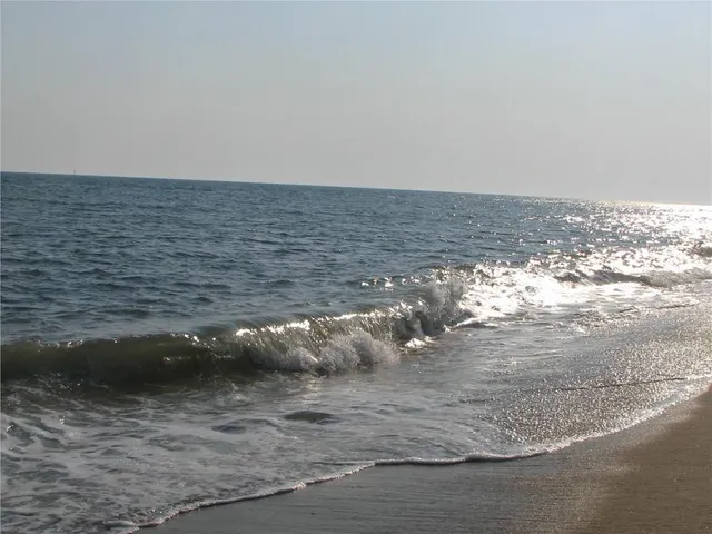 Katama Beach/ South Beach