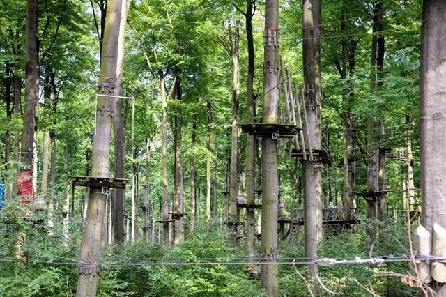 Kletterwald / Kletterpark Kassel, der Kletterfreizeitpark