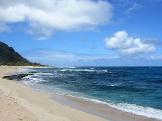 Lost Survivors Beach Camp