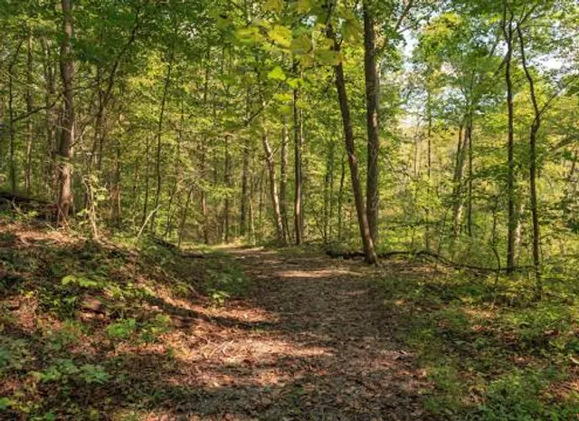 Hibernia County Park