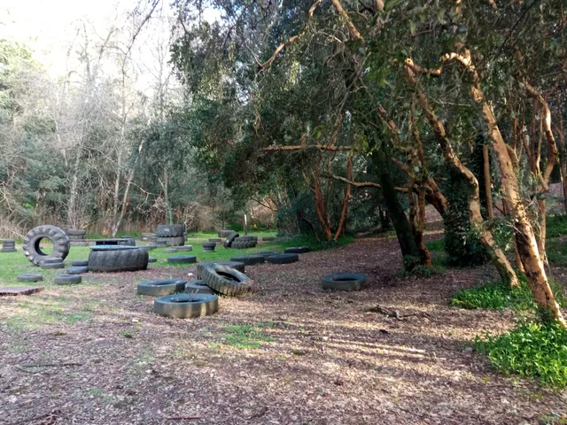 Harnecker Municipal Park