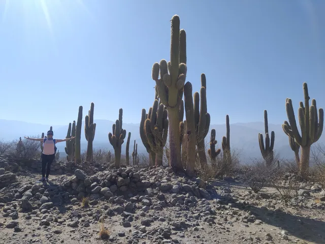 Municipio de San José