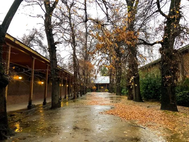 Viña Cousiño Macul