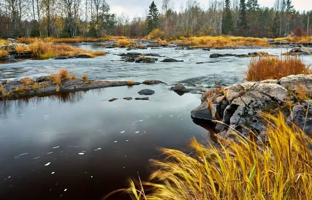 Koitelinkoski Rapids