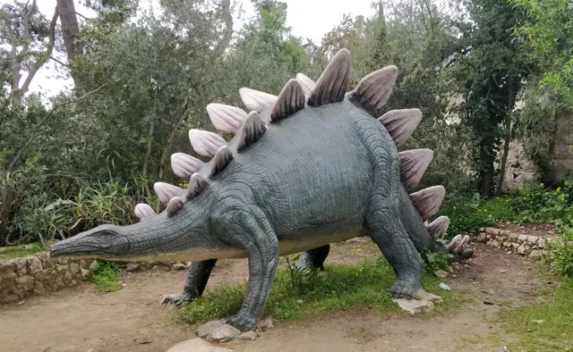 Museum of Natural History