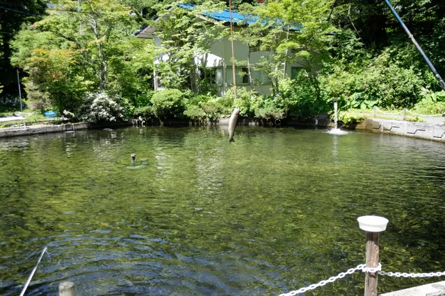 ザオウツリボリ