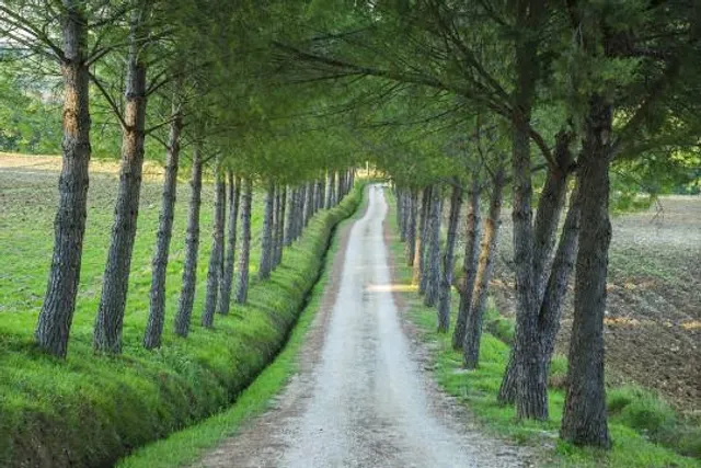 Pieve of Saint Casciano