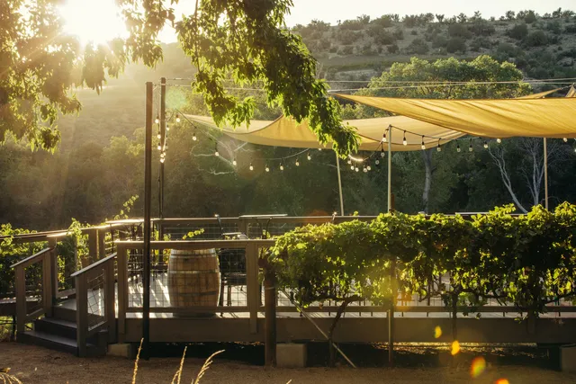 Page Springs Cellars Tasting Room & Bistro