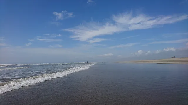 Hasunuma Seaside Forest