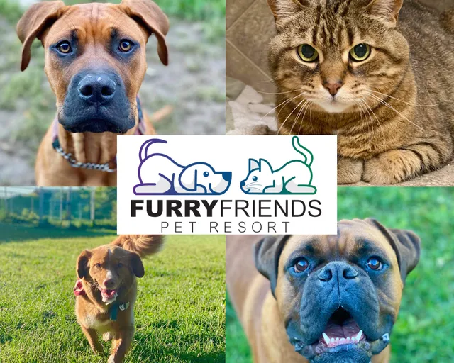 Furry Friends Pet Resort
