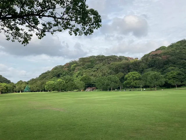 Yamada Ryokuchi Park