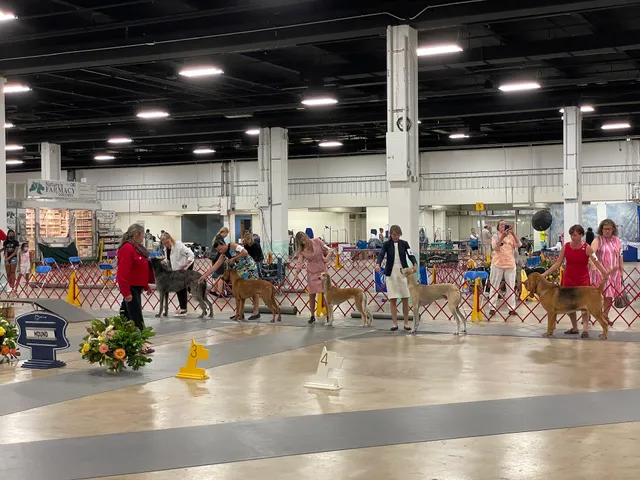 Greenville Convention Center