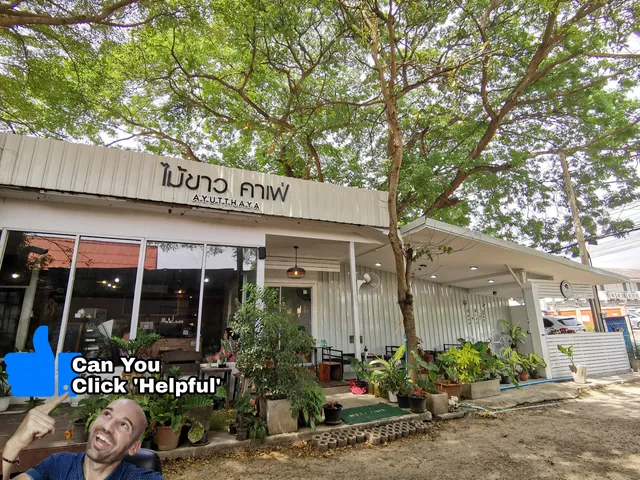 ไม้ขาว คาเฟ่ อยุธยา