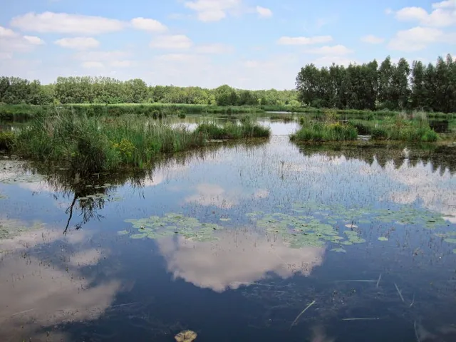 Start wandelingen: De Luysen - Mariahof