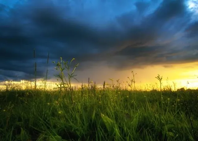 West Point Foundry Preserve