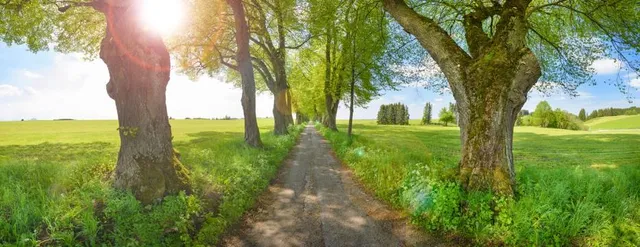 Highland Road Community Park