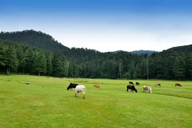Khajjiar Adventure Activities
