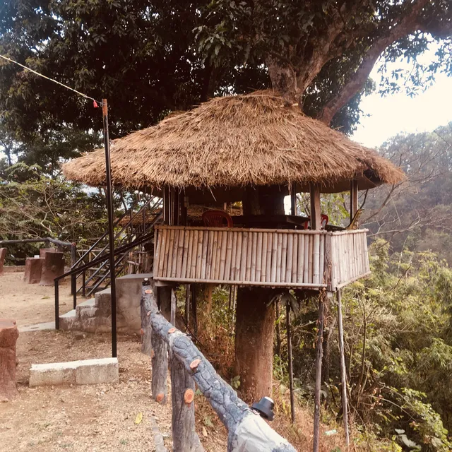 Tree House Of Dharan