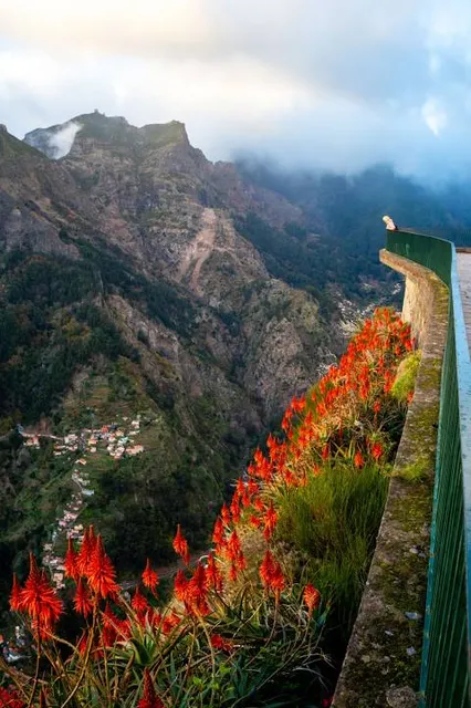 Miradouro Eira do Serrado