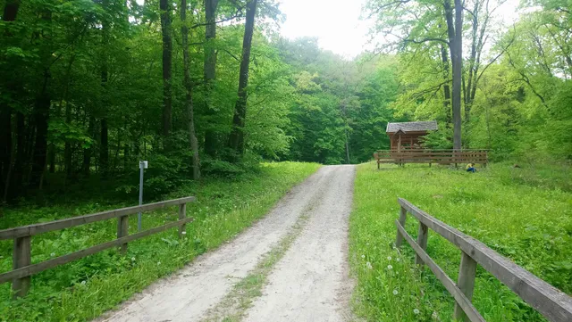 Rezerwat Przełom Hołubli