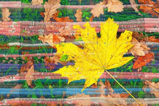 El Club de los Animalitos