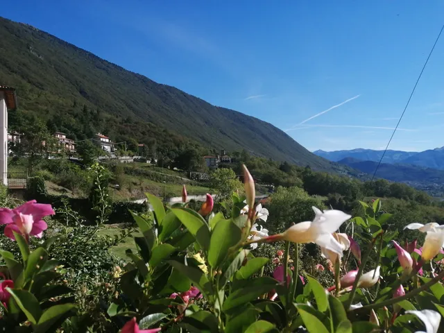 Palazzo Suardi-Re-Meris