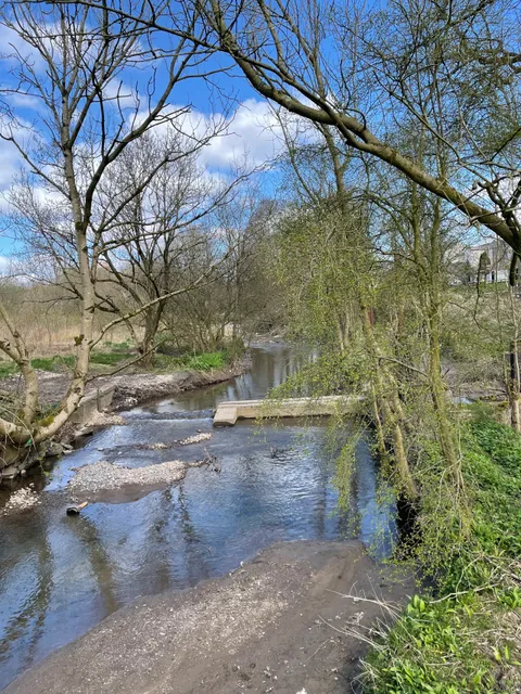 Primrose Community Nature Reserve