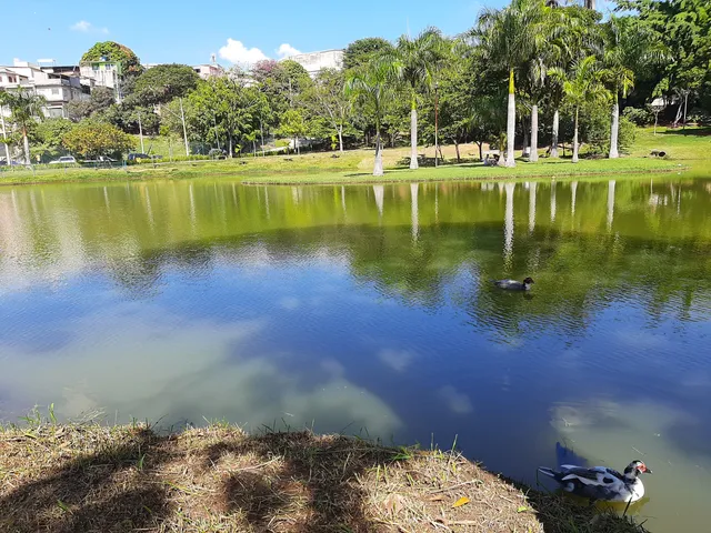 Park Our Lady of Mercy