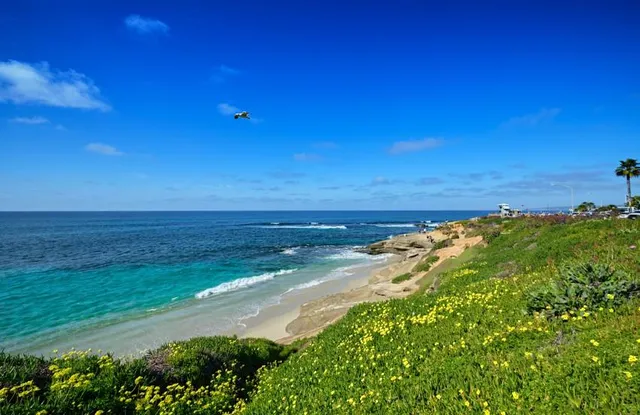 Lifeguard La Jolla Cove