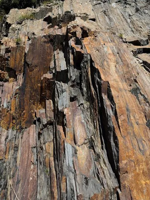 Foresta fossile di Dunarobba