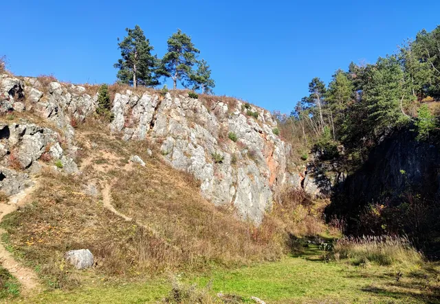 Rezerwat przyrody Góra Zelejowa
