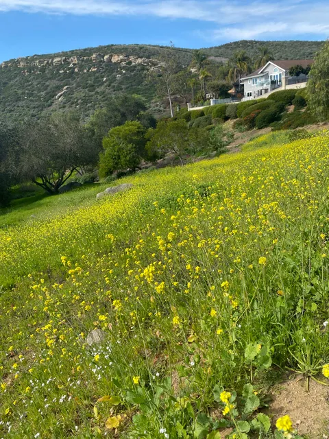Turtle Rock Trailhead
