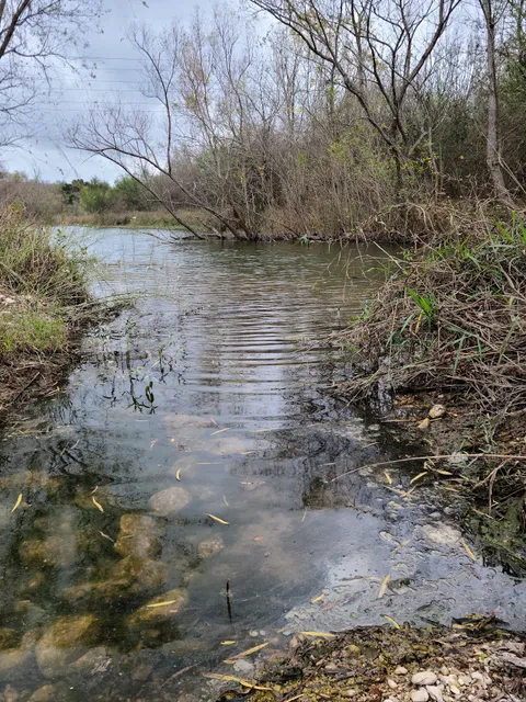 Cibolo Creek Trail