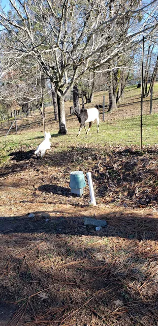 Iverson Vineyards & Winery