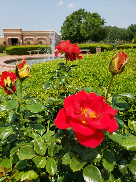 Fayetteville Rose Garden