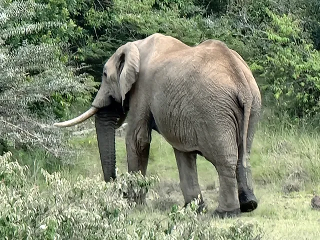 Mugie Wildlife Conservancy