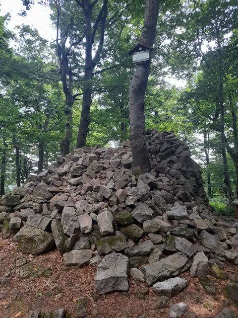 Rezerwat przyrody Kamień nad Jaśliskami
