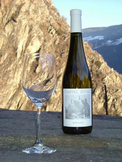 Weingut Unterortl - Castel Juval